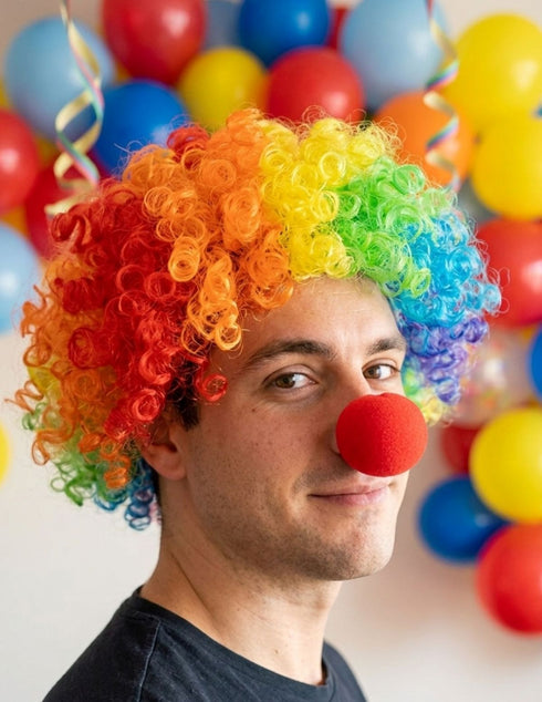 Buy Joker Clown Hair Wig & Foam Nose Unisex Adult & Kids Fancy Dress Costume Accessory