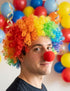Buy Joker Clown Hair Wig & Foam Nose Unisex Adult & Kids Fancy Dress Costume Accessory