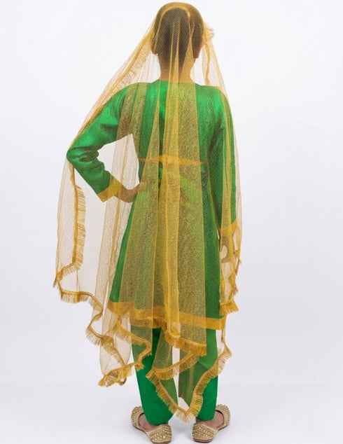 Kathak Indian Classical Dance Costume for Girls | Kids Adult With Heavy Jewelry Set