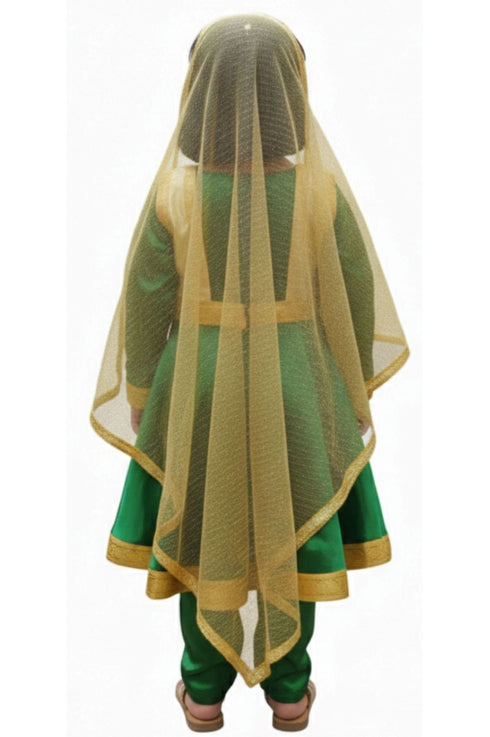 BookMyCostume Kathak Indian Classical Dance Costume for Girls | Kids Adult With Heavy Jewelry Set