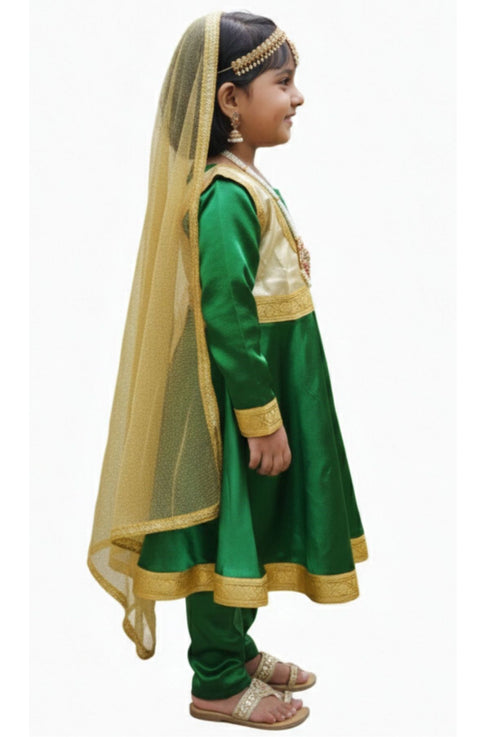 BookMyCostume Kathak Indian Classical Dance Costume for Girls | Kids Adult With Heavy Jewelry Set