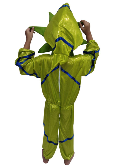 StarFish Star Fish Aquatic Animal Kids Fancy Dress Costume