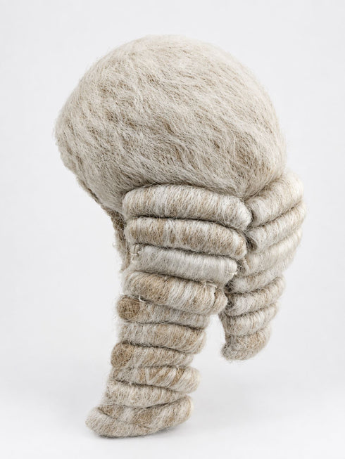 Judge Barrister Kids Fancy Dress Costume