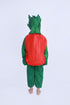 BookMyCostume Strawberry Fruit Kids Fancy Dress Costume