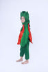BookMyCostume Strawberry Fruit Kids Fancy Dress Costume