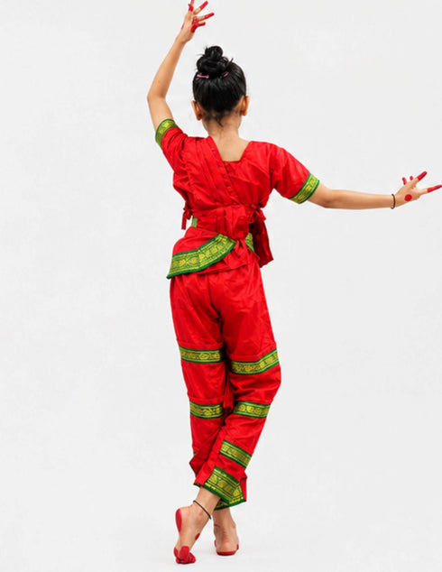 Bharatanatyam Saree Indian Classical Dance Costume for Girls | Kids & Adult Fancy Dress Costume
