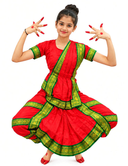 Bharatanatyam Saree Indian Classical Dance Costume for Girls | Kids & Adult Fancy Dress Costume