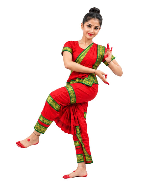 Bharatanatyam Saree Indian Classical Dance Costume for Girls | Kids & Adult Fancy Dress Costume