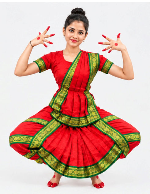 Bharatanatyam Saree Indian Classical Dance Costume for Girls | Kids & Adult Fancy Dress Costume