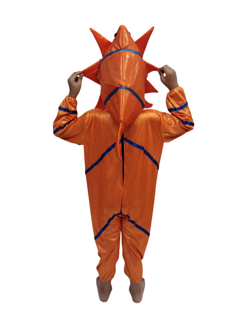 StarFish Star Fish Orange Golden Aquatic Animal Kids Fancy Dress Costume