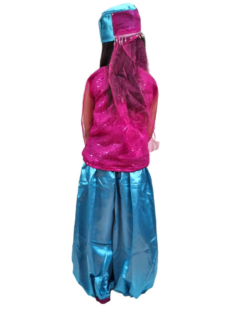 BookMyCostume Arabian Girl Pink & Blue Belly Dance Western Dance Performance Costume for Girls Kids Fancy Dress Costume