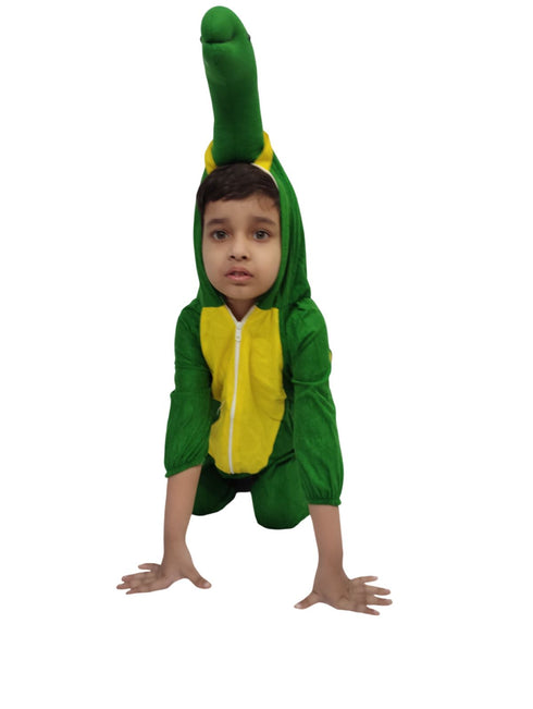 Tortoise Turtle Aquatic Animal Kids Fancy Dress Costume | Premium