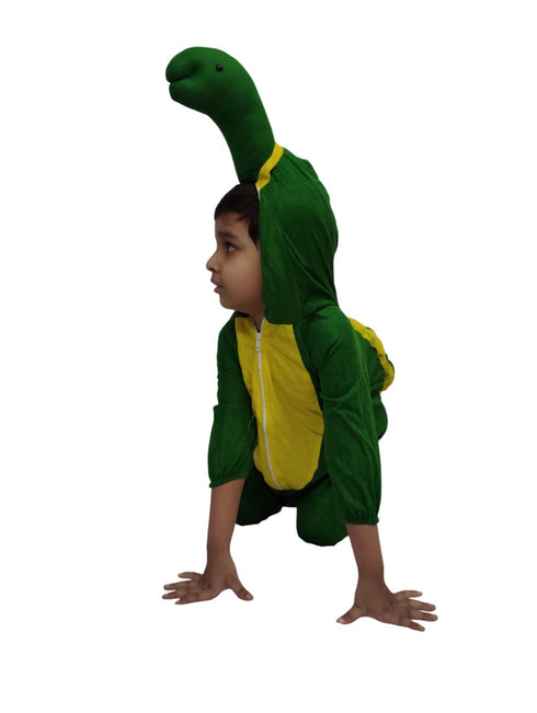 Tortoise Turtle Aquatic Animal Kids Fancy Dress Costume | Premium