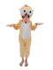 Owl Ullu Nocturnal Bird Kids Fancy Dress Costume