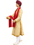 Sikh Wedding Punjabi Dulha Groom With Turban Kids & Adult Fancy Dress Costume