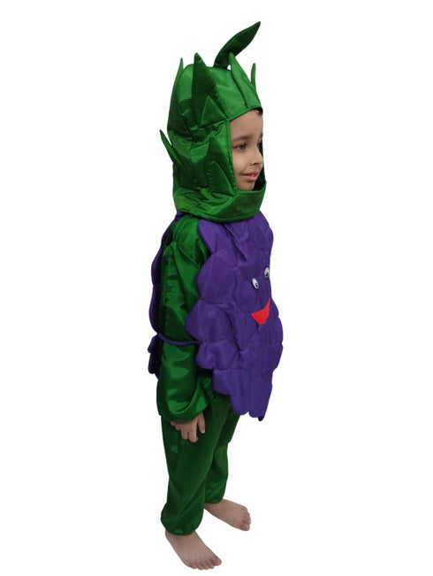 Grapes Purple Angoor Fruit Kids Fancy Dress Costume
