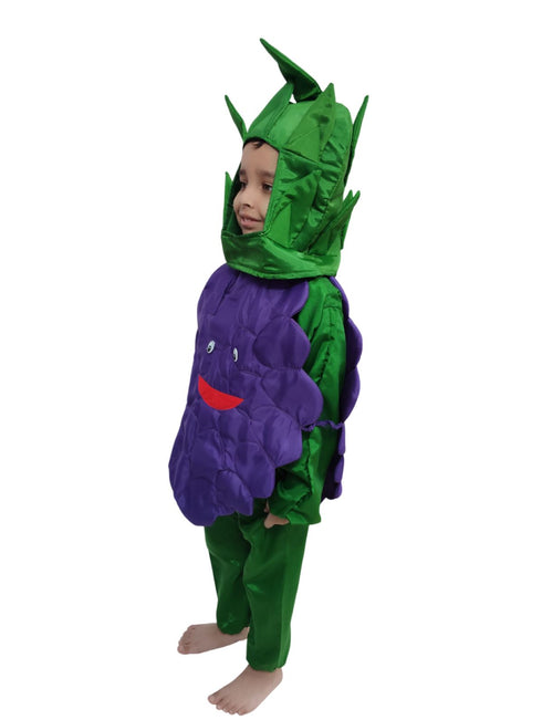 Grapes Purple Angoor Fruit Kids Fancy Dress Costume