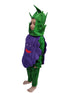 Grapes Purple Angoor Fruit Kids Fancy Dress Costume