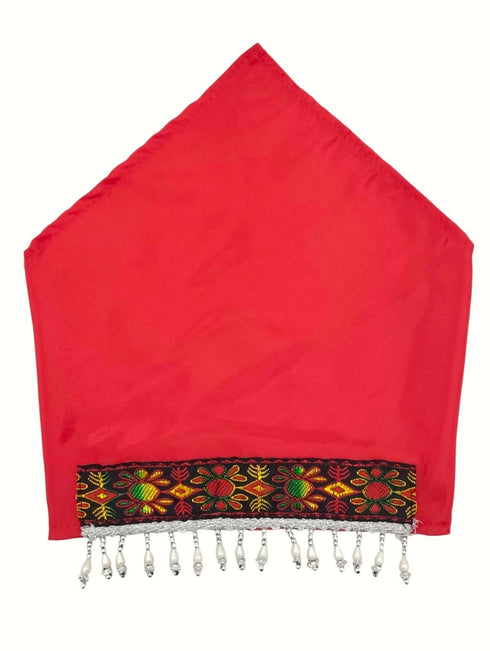 BookMyCostume Kashmiri Girl with Jewellery Indian State For Girl's & Women Fancy Dress Costume