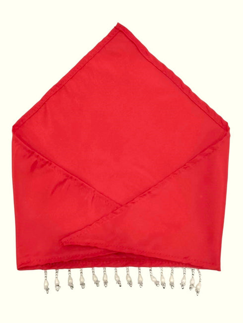 BookMyCostume Kashmiri Girl with Jewellery Indian State For Girl's & Women Fancy Dress Costume