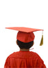 Red Graduate Scholar Cap Graduation Day Kids & Adults Fancy Dress Costume Accessory