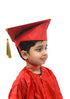 Red Graduate Scholar Cap Graduation Day Kids & Adults Fancy Dress Costume Accessory