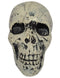 Small Skull Toy Halloween Ghost Showpiece Decoration Kids Adults Fancy Dress Costume Accessory
