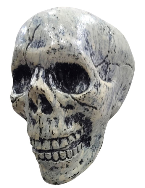 Small Skull Toy Halloween Ghost Showpiece Decoration Kids Adults Fancy Dress Costume Accessory