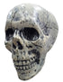 Small Skull Toy Halloween Ghost Showpiece Decoration Kids Adults Fancy Dress Costume Accessory