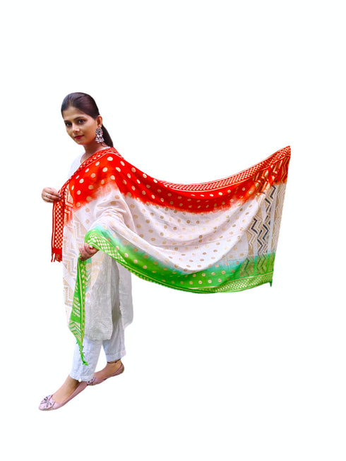 BookMyCostume Tricolour Dupatta Tiranga Republic & Independence Day Kids & Adults Costume Accessory