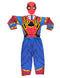 BookMyCostume Iron Spidey Metal Print Sublimation Suit - Muscle-Look Superhero Costume with Plastic Face Mask | Red & Blue Golden Superhero Costumes for Kids | Super Hero Costumes for Boys