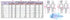 Doctor Physician White Coat with Stethoscope Medical Professional Community Helper Kids Fancy Dress Costume