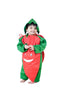 BookMyCostume Carrot Gajar Vegetable Kids Fancy Dress Costume