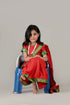 BookMyCostume Indian Saree for Rani Queen Historical Personality Fancy Dress Costume