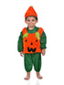 BookMyCostume Pumpkin Vegetable Kids Fancy Dress Costume