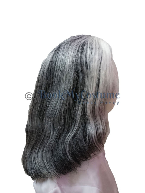 BookMyCostume Abdul Kalam & Old Man Grey Hair Wig Adult & Kids Fancy Dress Costume Accessory