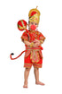 Complete Hanuman Bajrang Bali Hindu God Kids & Adults Fancy Dress Costume | With Gada