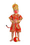 BookMyCostume Complete Hanuman Bajrang Bali Hindu God Kids & Adults Fancy Dress Costume | With Gada