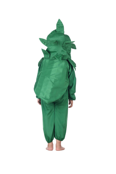BookMyCostume Green Peas Hari Matar Vegetable Kids Fancy Dress Competition Costume