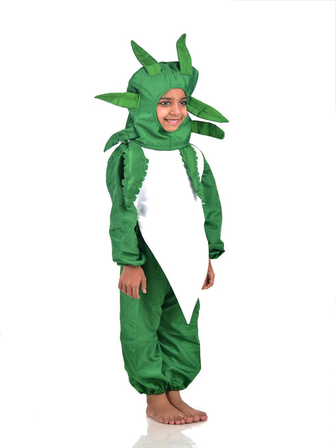 BookMyCostume Radish Mooli Vegetable Kids Fancy Dress Costume