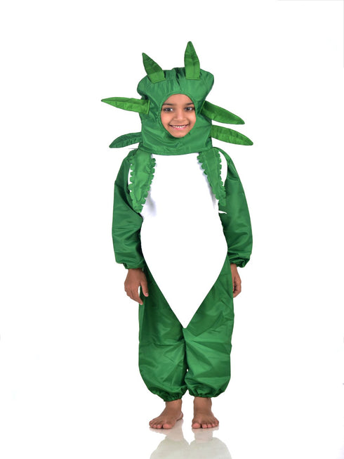 BookMyCostume Radish Mooli Vegetable Kids Fancy Dress Costume