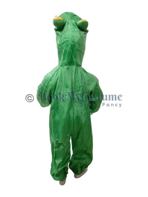 Frog Aquatic Animal Kids Fancy Dress Costume - Imported