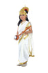 Sarasvati Mata Hindu Goddess Saree for Girls & Women Fancy Dress Costume with Sitar