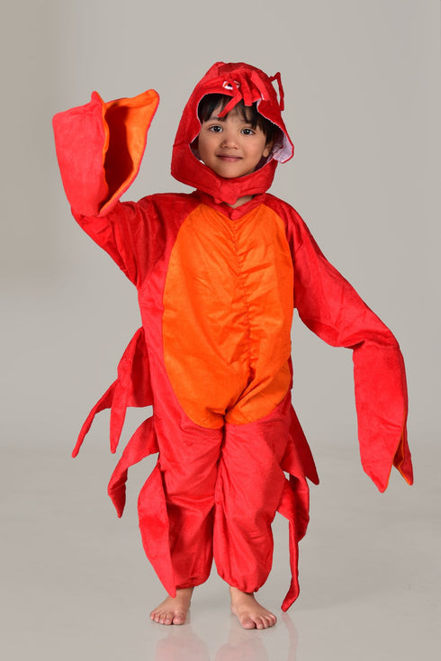 BookMyCostume Crab Aquatic Animal Kids Fancy Dress Costume