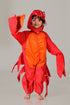 BookMyCostume Crab Aquatic Animal Kids Fancy Dress Costume