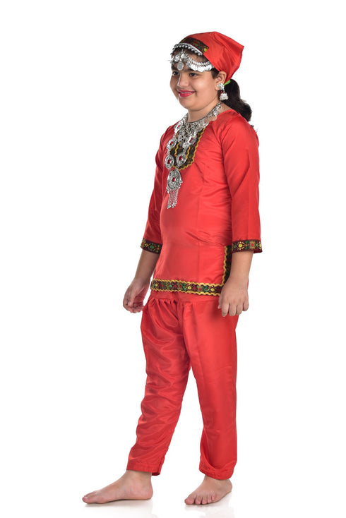 BookMyCostume Kashmiri Girl with Jewellery Indian State For Girl's & Women Fancy Dress Costume