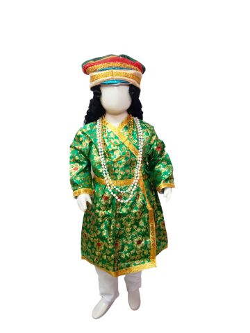 BookMyCostume Jalaluddin Muhammad Akbar the Great Mughal Emperor Sultan with Wig for Boys Kids Adult Fancy Dress Costume