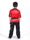 Japanese Boy International World Costume