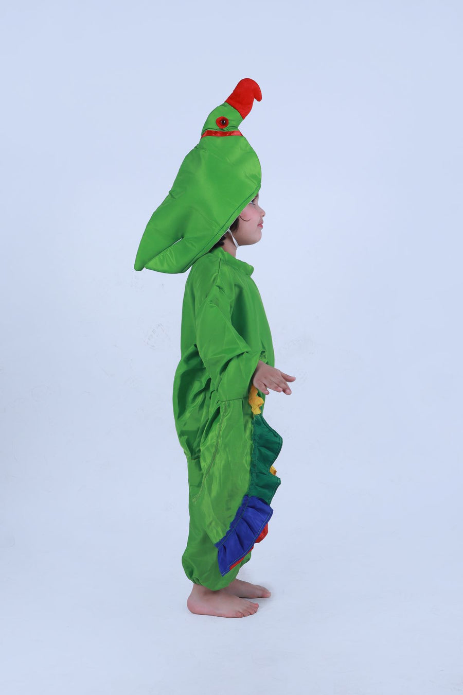 Parrot Bird Kids Fancy Dress Costume