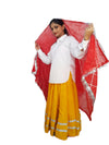 Haryana State Traditional Thel Costume for Girls and Women